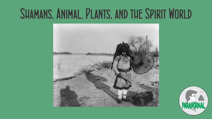 Shamans, Animal, Plants, and the Spirit World
