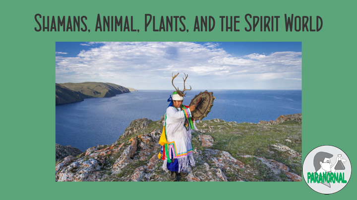 Shamans, Animal, Plants, and the Spirit World