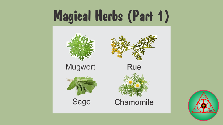 Magical Herbs (Part 1)