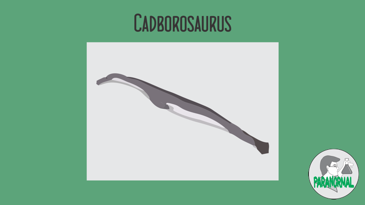 Cadborosaurus