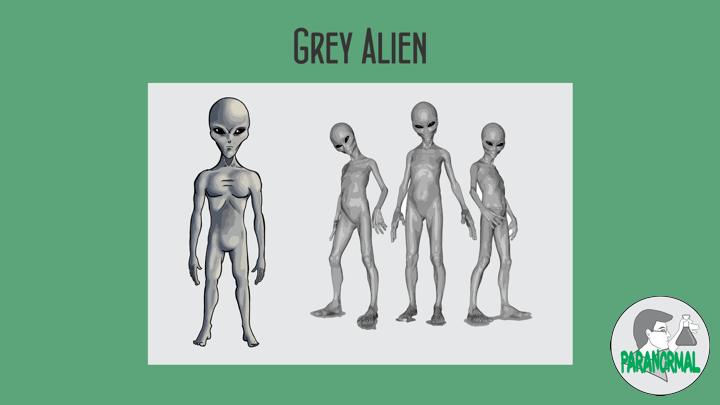 Grey Alien